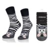 Intenso Happy - Nie do pary Zebra