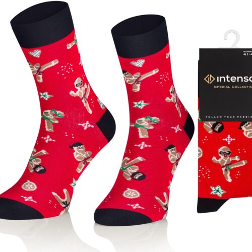 Skarpety świąteczne Intenso art.1887 wz. S21